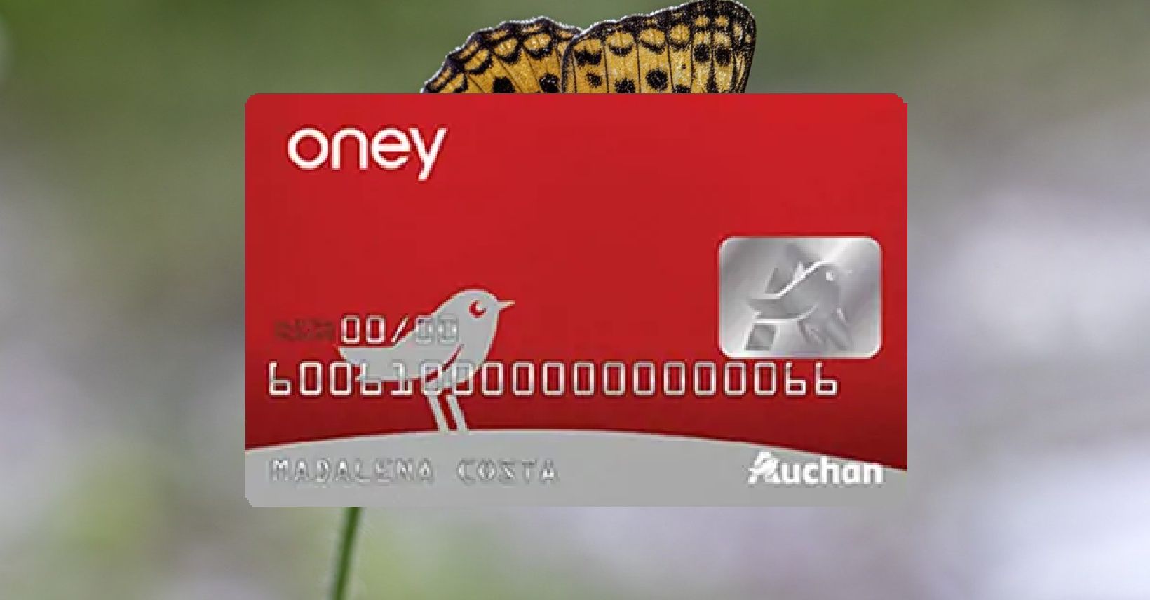 Como Solicitar o Cartão de Crédito Oney Auchan Passo a Passo Fácil